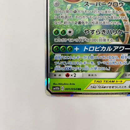 SM10b-001 RR SM10b-001 RR モクロー&アローラナッシーGX RR SM10b-001 SM10b 強化拡張パック「スカイレジェンド」【飾磨店】【代金引換不可・日時指定不可】【ポスト投函】