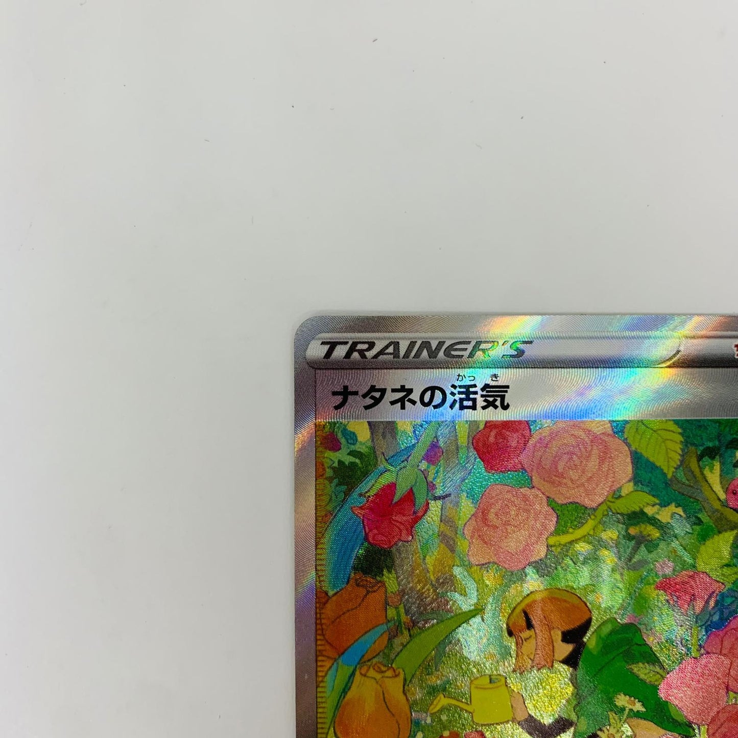 S12a-243 SAR S12a-243 SAR ナタネの活気 SAR S12a-243 S12a ハイクラスパック「VSTARユニバース」【飾磨店】【代金引換不可・日時指定不可】【ポスト投函】