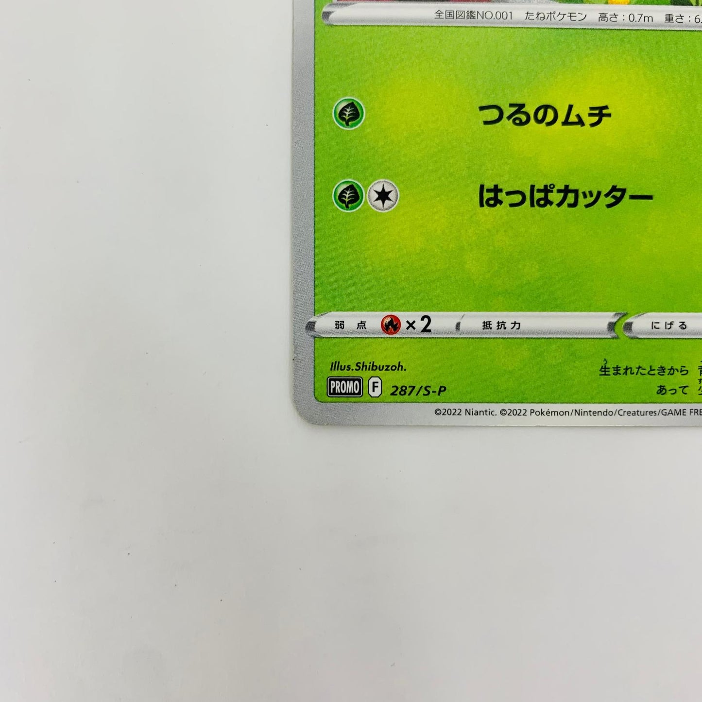287/S-P - 287/S-P - フシギダネ - 287/S-P PR 「ポケモン GO プロモカード ギフトキャンペーン」【飾磨店】【代金引換不可・日時指定不可】【ポスト投函】