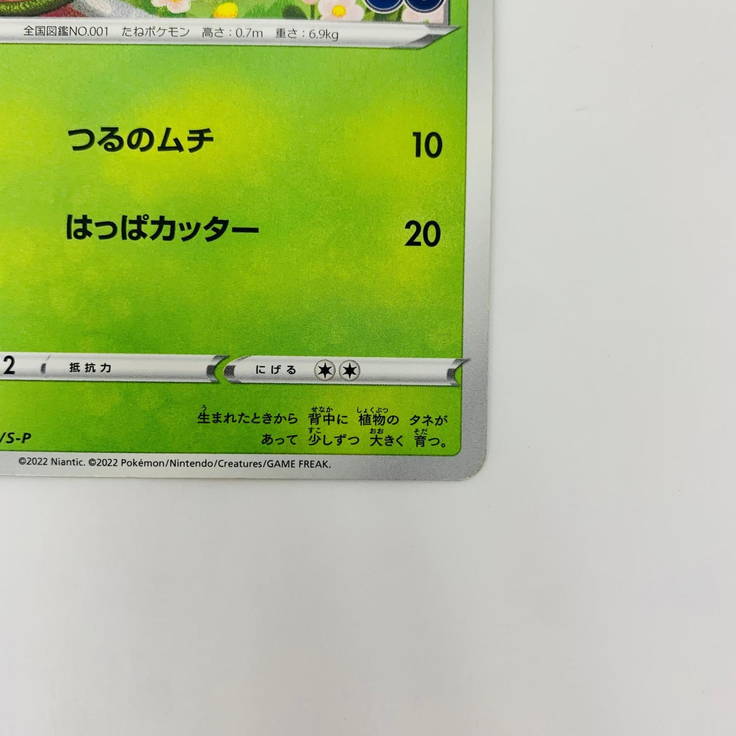 287/S-P - 287/S-P - フシギダネ - 287/S-P PR 「ポケモン GO プロモカード ギフトキャンペーン」【飾磨店】【代金引換不可・日時指定不可】【ポスト投函】