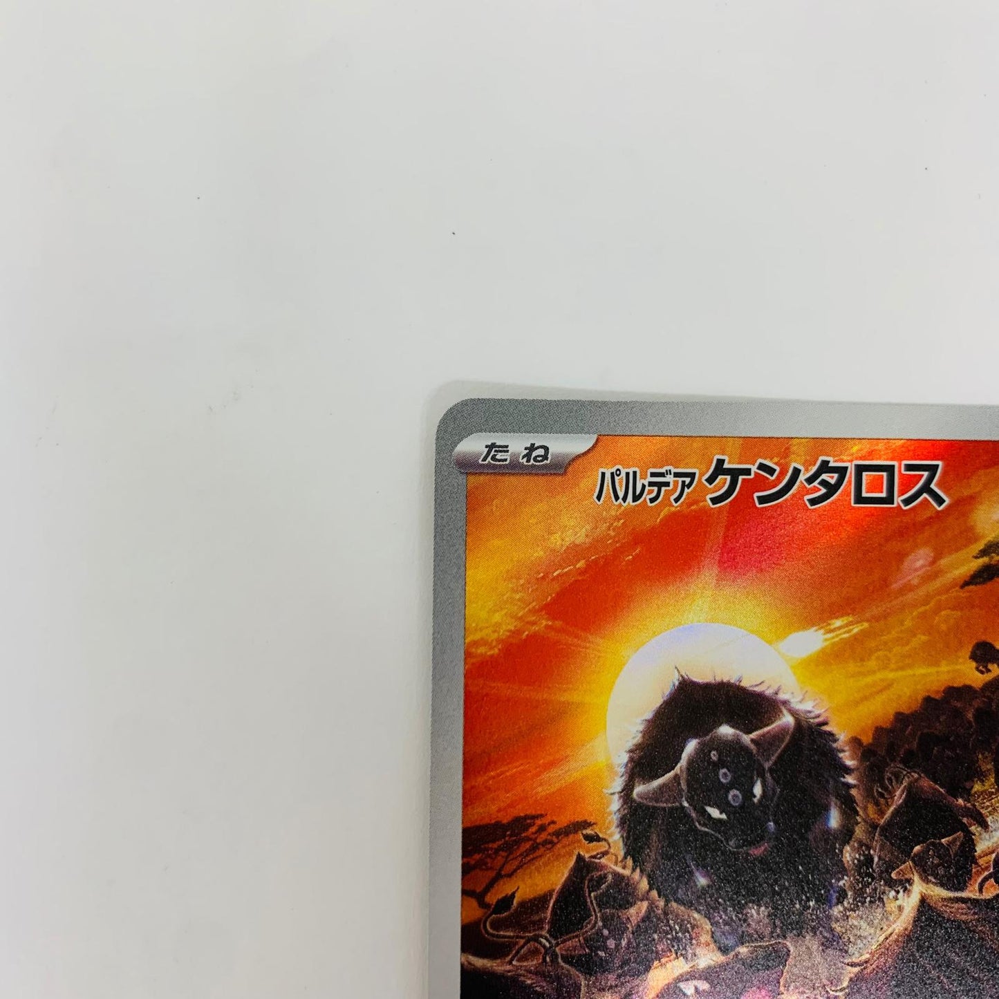 SV1a-084 AR SV1a-084 AR パルデアケンタロス AR SV1a-084 SV1a 強化拡張パック「トリプレットビート」【飾磨店】【代金引換不可・日時指定不可】【ポスト投函】