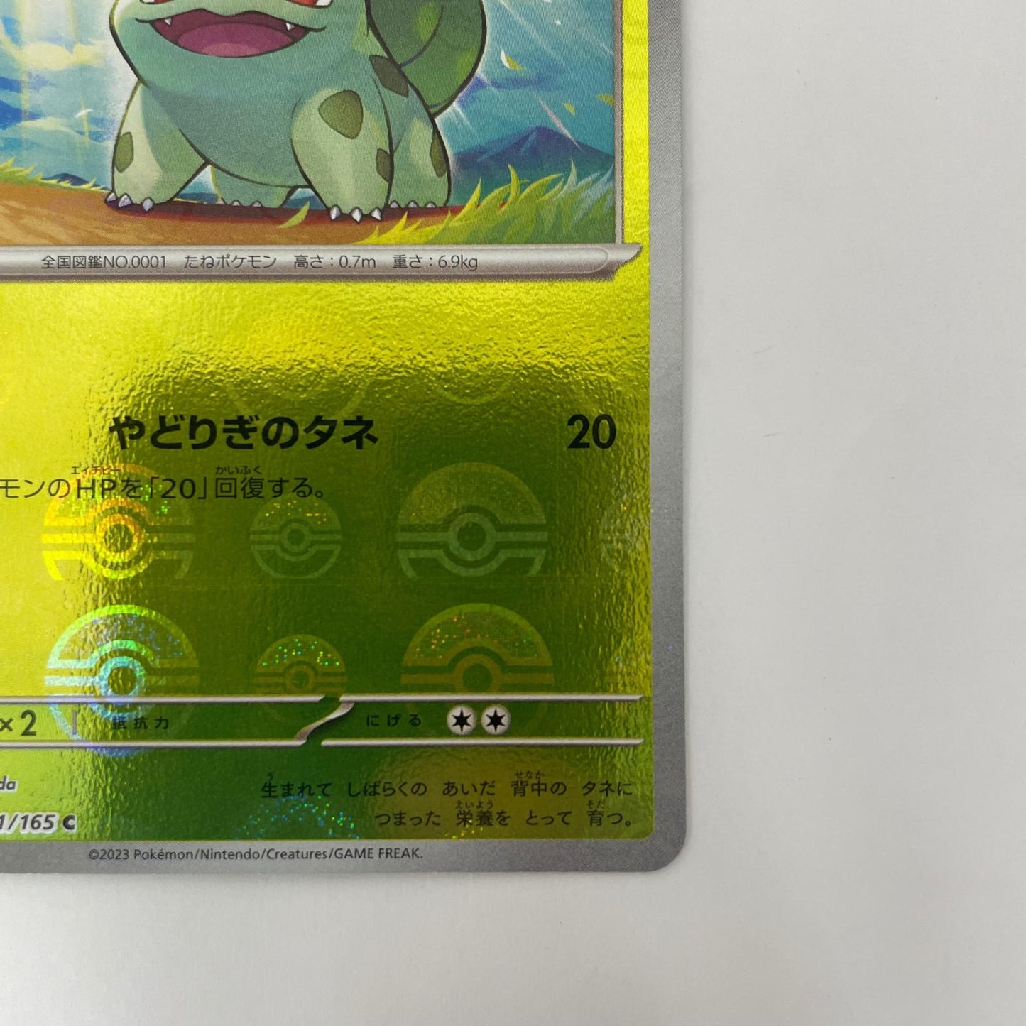 SV2a-001 C SV2a-001 C フシギダネ ミラー(モンスターボール C SV2a-001 SV2a 強化拡張パック「ポケモンカード151」【飾磨店】【代金引換不可・日時指定不可】【ポスト投函】