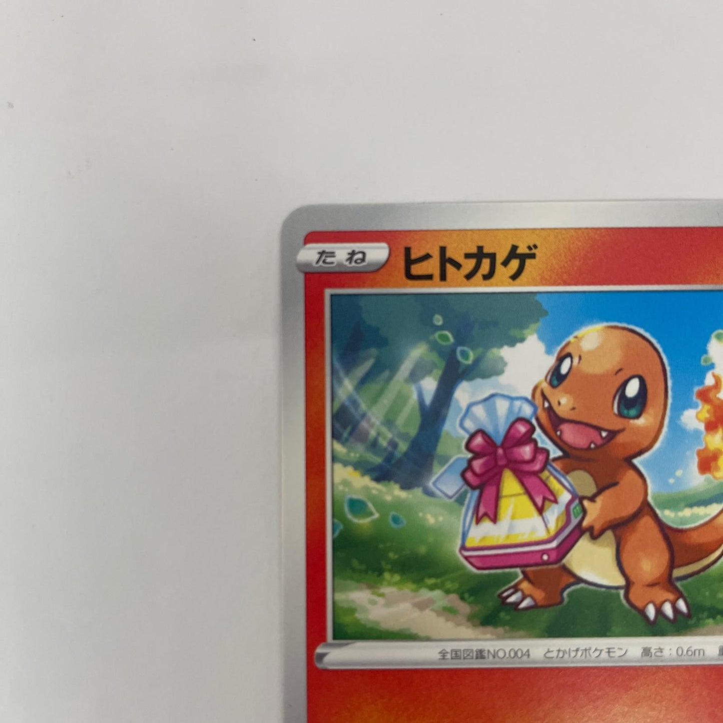 289/S-P - 289/S-P - ヒトカゲ - 289/S-P PR 「ポケモン GO プロモカード ギフトキャンペーン」【飾磨店】【代金引換不可・日時指定不可】【ポスト投函】