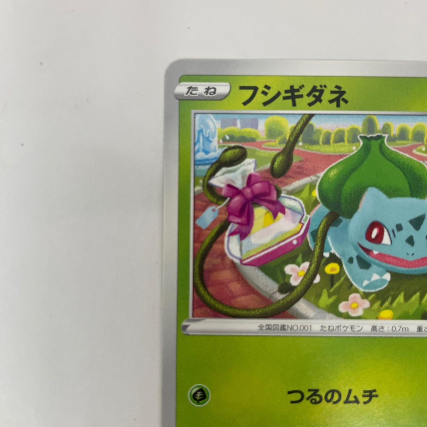 287/S-P - 287/S-P - フシギダネ - 287/S-P PR 「ポケモン GO プロモカード ギフトキャンペーン」【飾磨店】【代金引換不可・日時指定不可】【ポスト投函】