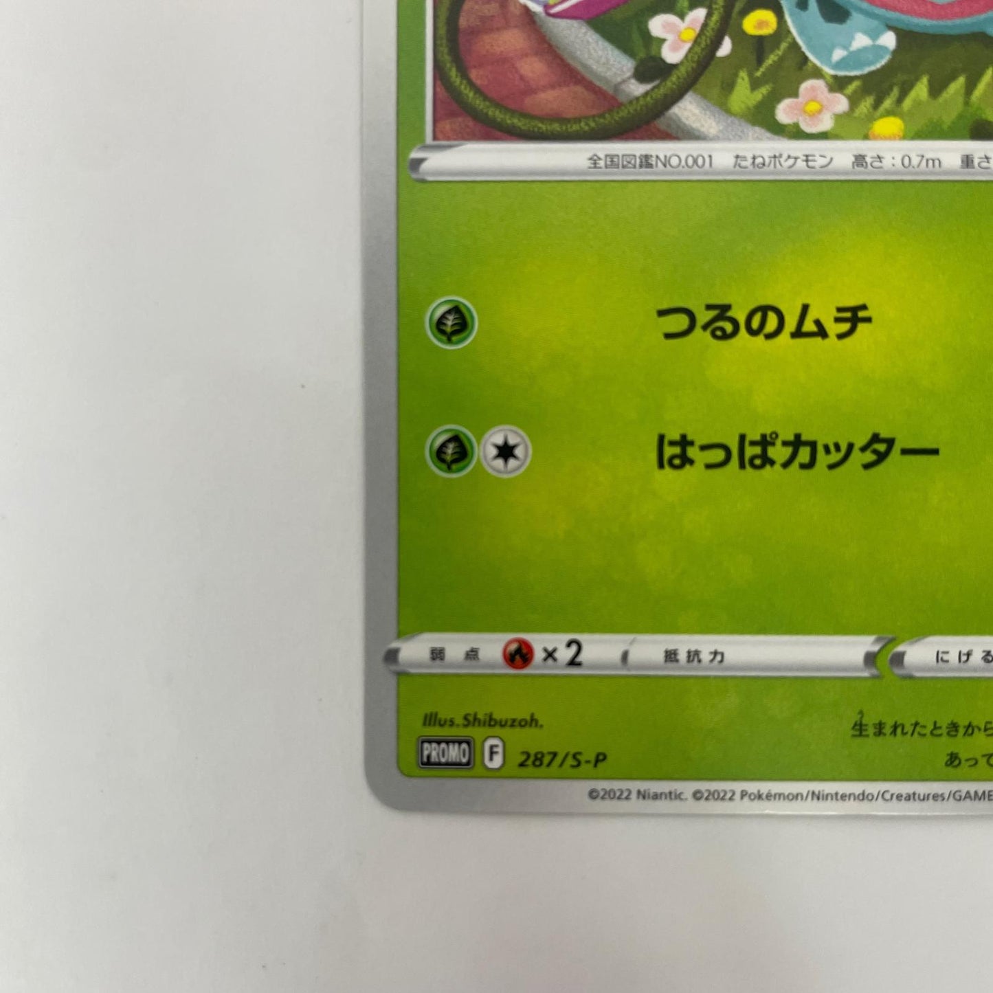 287/S-P - 287/S-P - フシギダネ - 287/S-P PR 「ポケモン GO プロモカード ギフトキャンペーン」【飾磨店】【代金引換不可・日時指定不可】【ポスト投函】