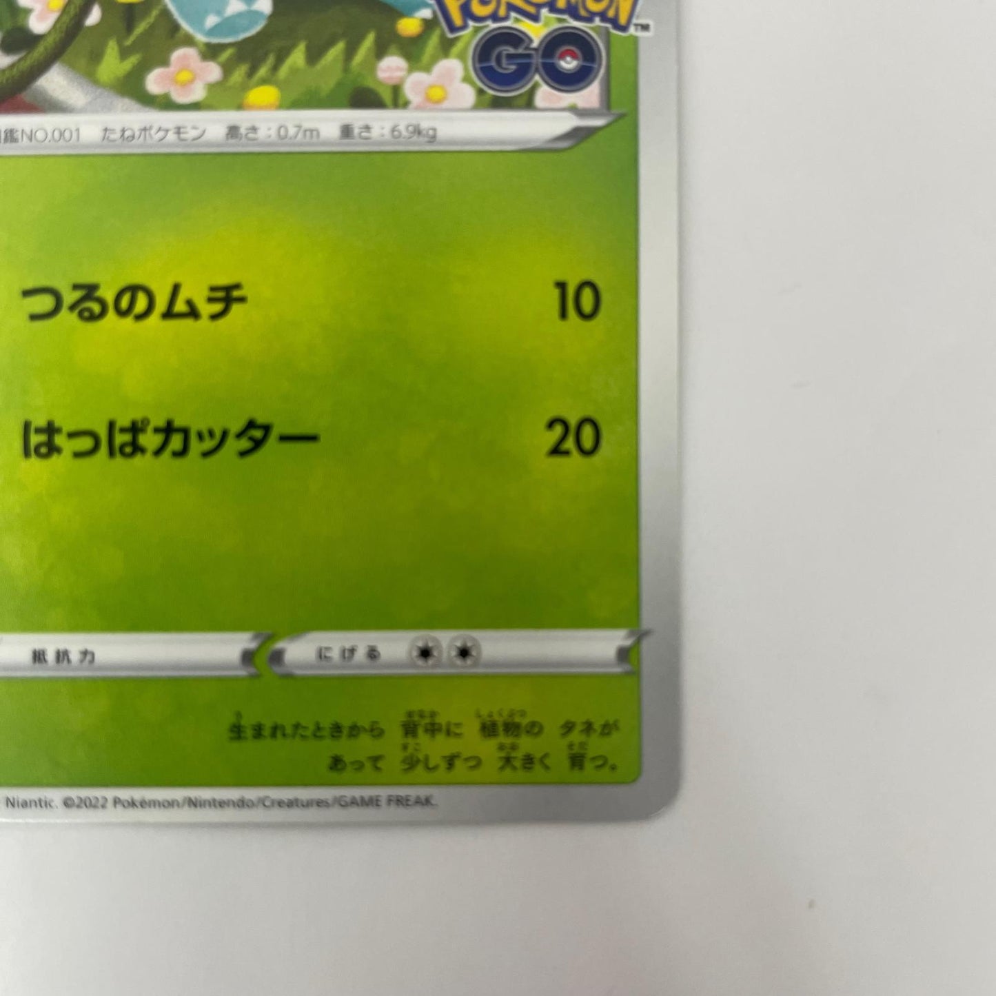 287/S-P - 287/S-P - フシギダネ - 287/S-P PR 「ポケモン GO プロモカード ギフトキャンペーン」【飾磨店】【代金引換不可・日時指定不可】【ポスト投函】