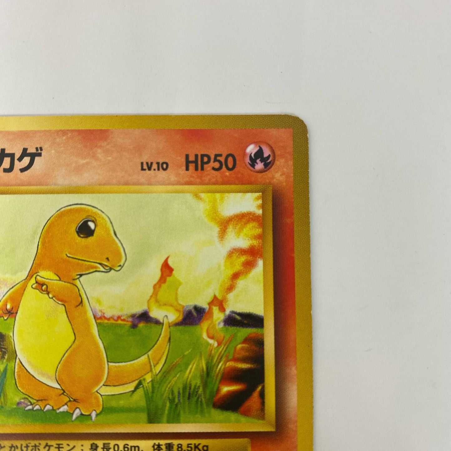 ヒトカゲLV.10 旧裏【飾磨店】【代金引換不可・日時指定不可】【ポスト投函】