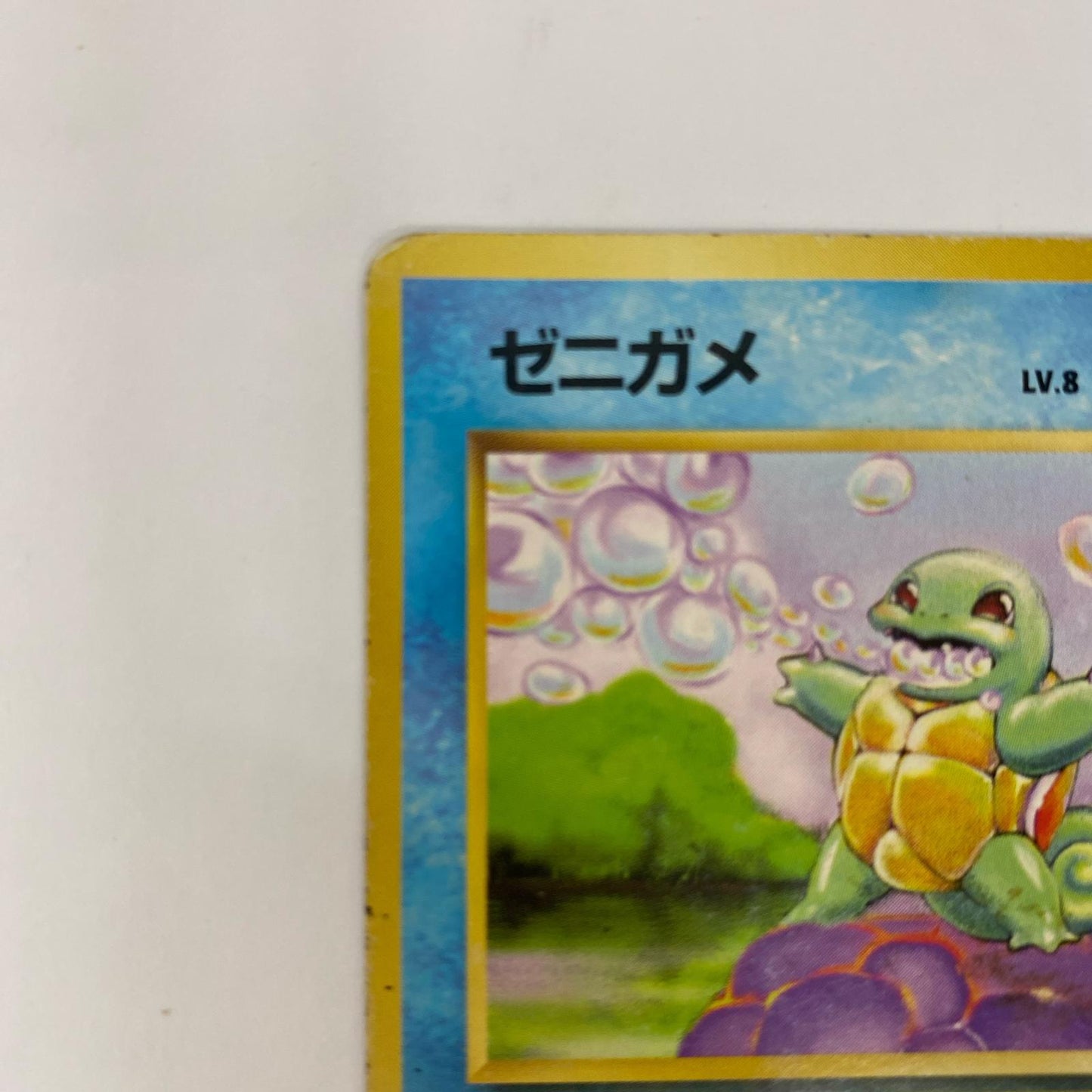ゼニガメLV.8 旧裏【飾磨店】【代金引換不可・日時指定不可】【ポスト投函】
