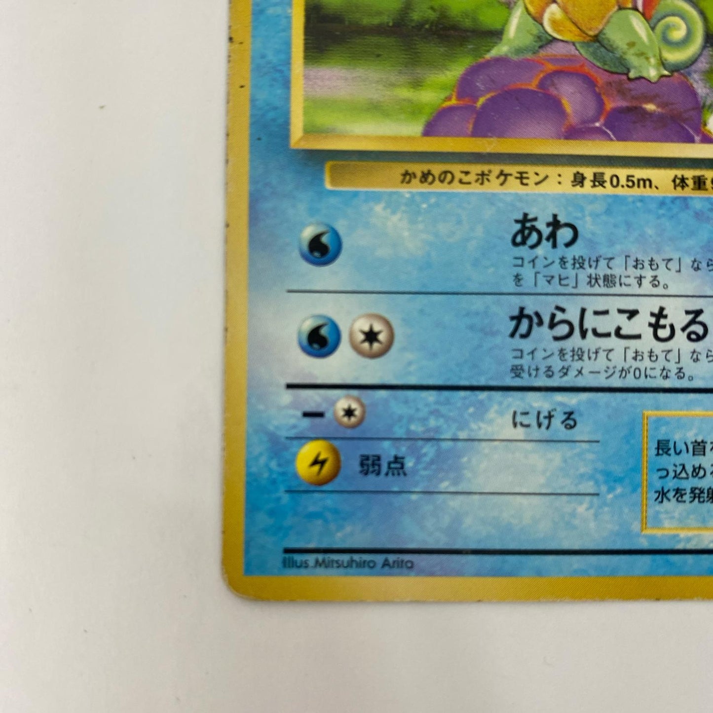 ゼニガメLV.8 旧裏【飾磨店】【代金引換不可・日時指定不可】【ポスト投函】
