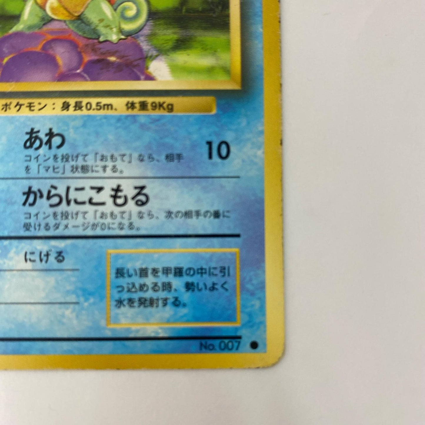 ゼニガメLV.8 旧裏【飾磨店】【代金引換不可・日時指定不可】【ポスト投函】