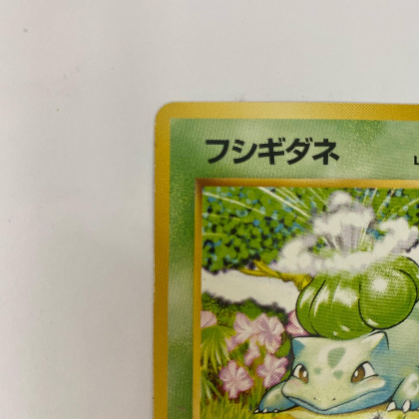 フシギダネLV.13 旧裏【飾磨店】【代金引換不可・日時指定不可】【ポスト投函】