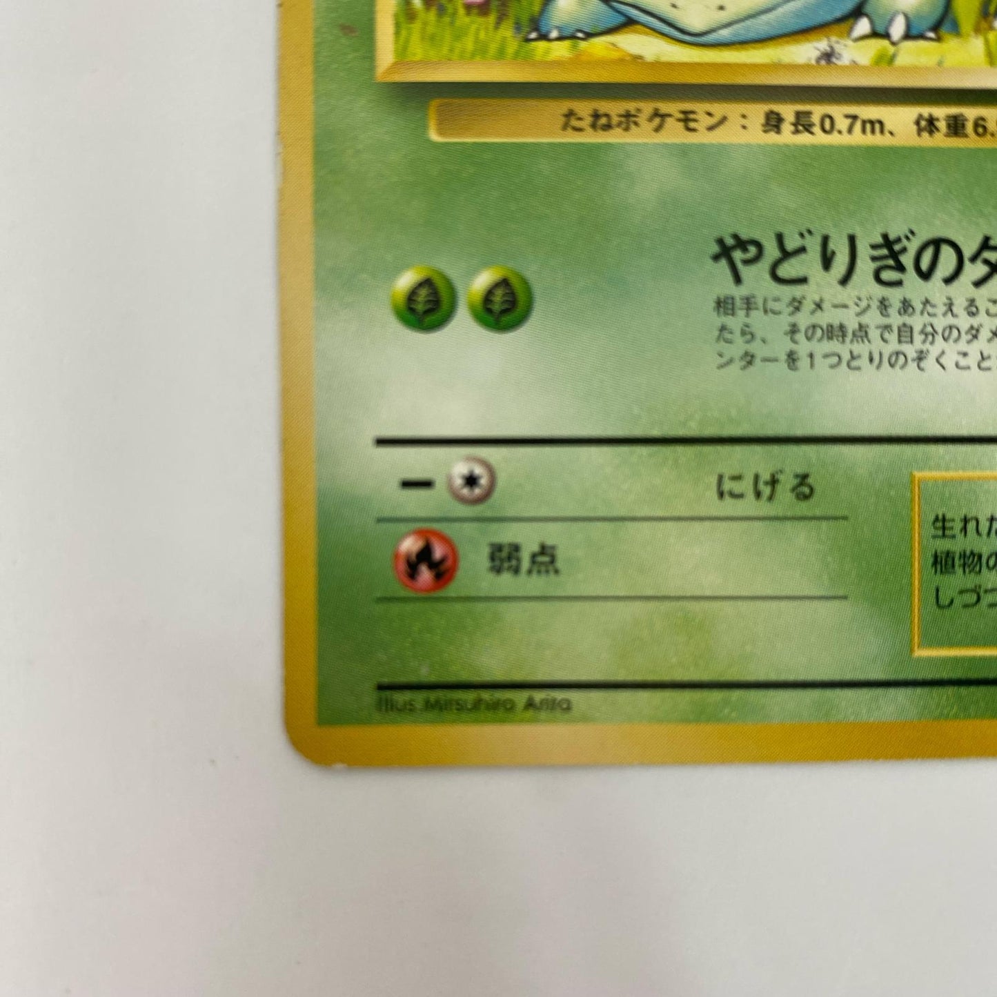 フシギダネLV.13 旧裏【飾磨店】【代金引換不可・日時指定不可】【ポスト投函】