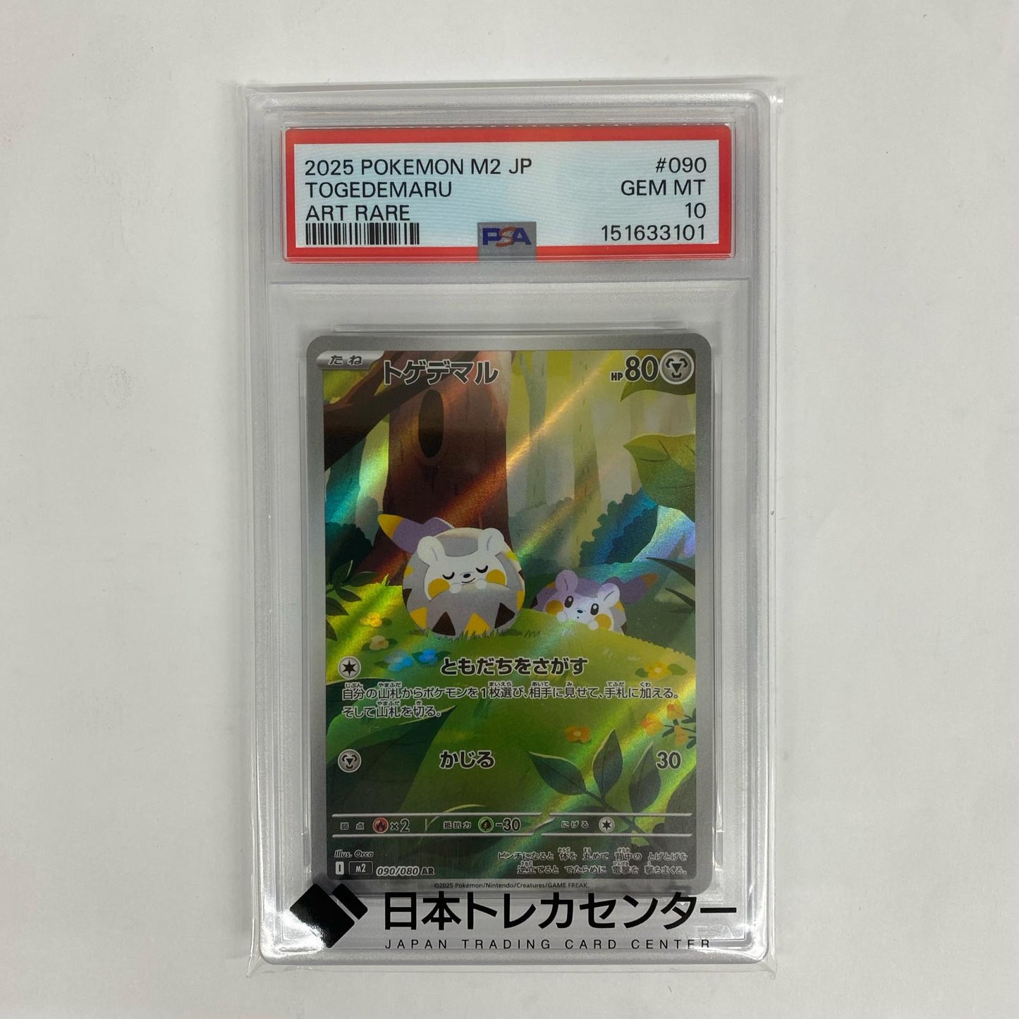 M2-090 PSA10 M2-090 AR トゲデマル AR M2-090 M2 拡張パック「インフェルノX」【飾磨店】【代金引換不可・日時指定不可】【ポスト投函】