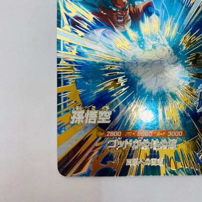 AP2-001 GDR AP2-001【飾磨店】【代金引換不可・日時指定不可】【ポスト投函】