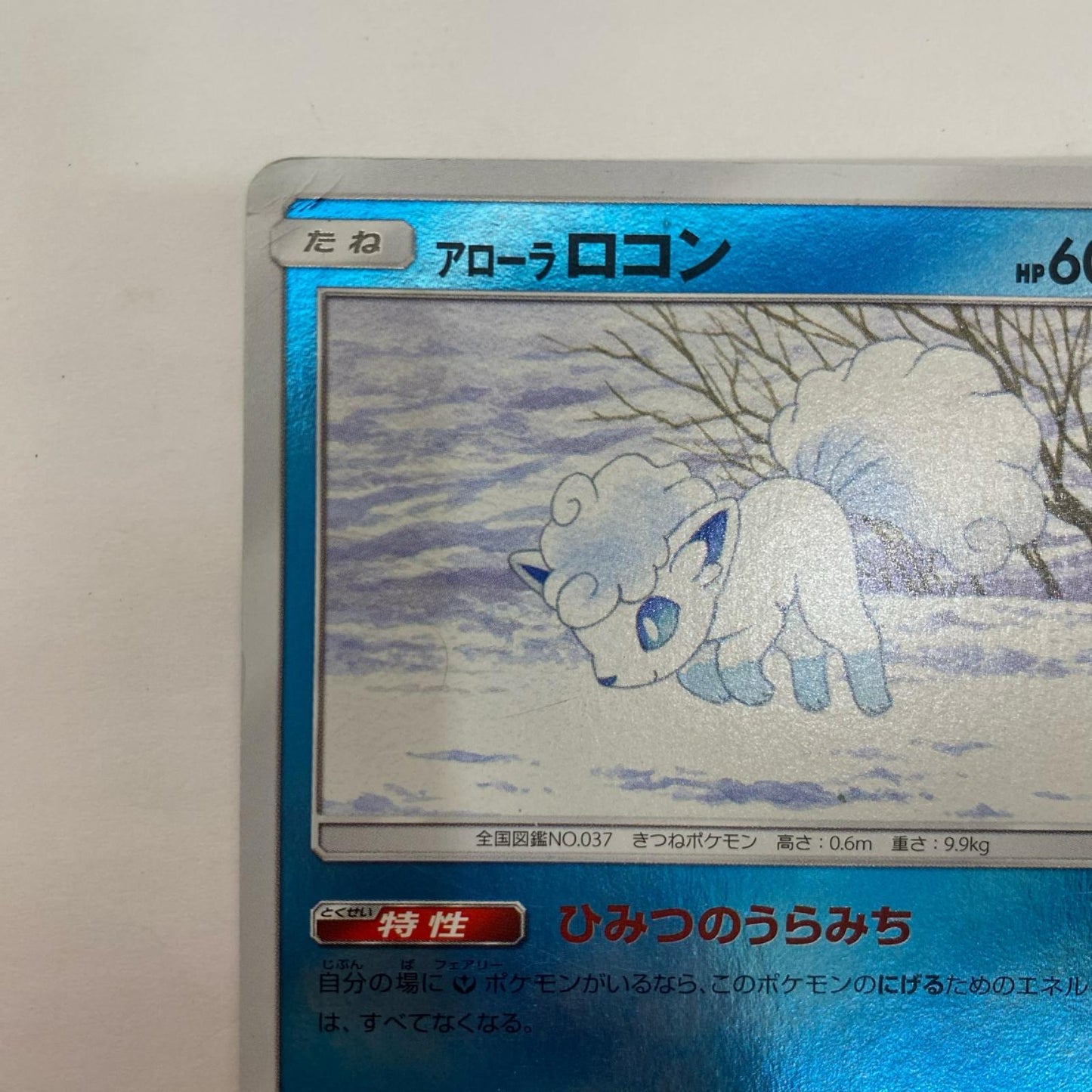 SM12a-032 sm12a-032 アローラロコン - SM12a-032 SM12a ハイクラスパック「TAG TEAM GX タッグオールスターズ」【飾磨店】【代金引換不可・日時指定不可】【ポスト投函】