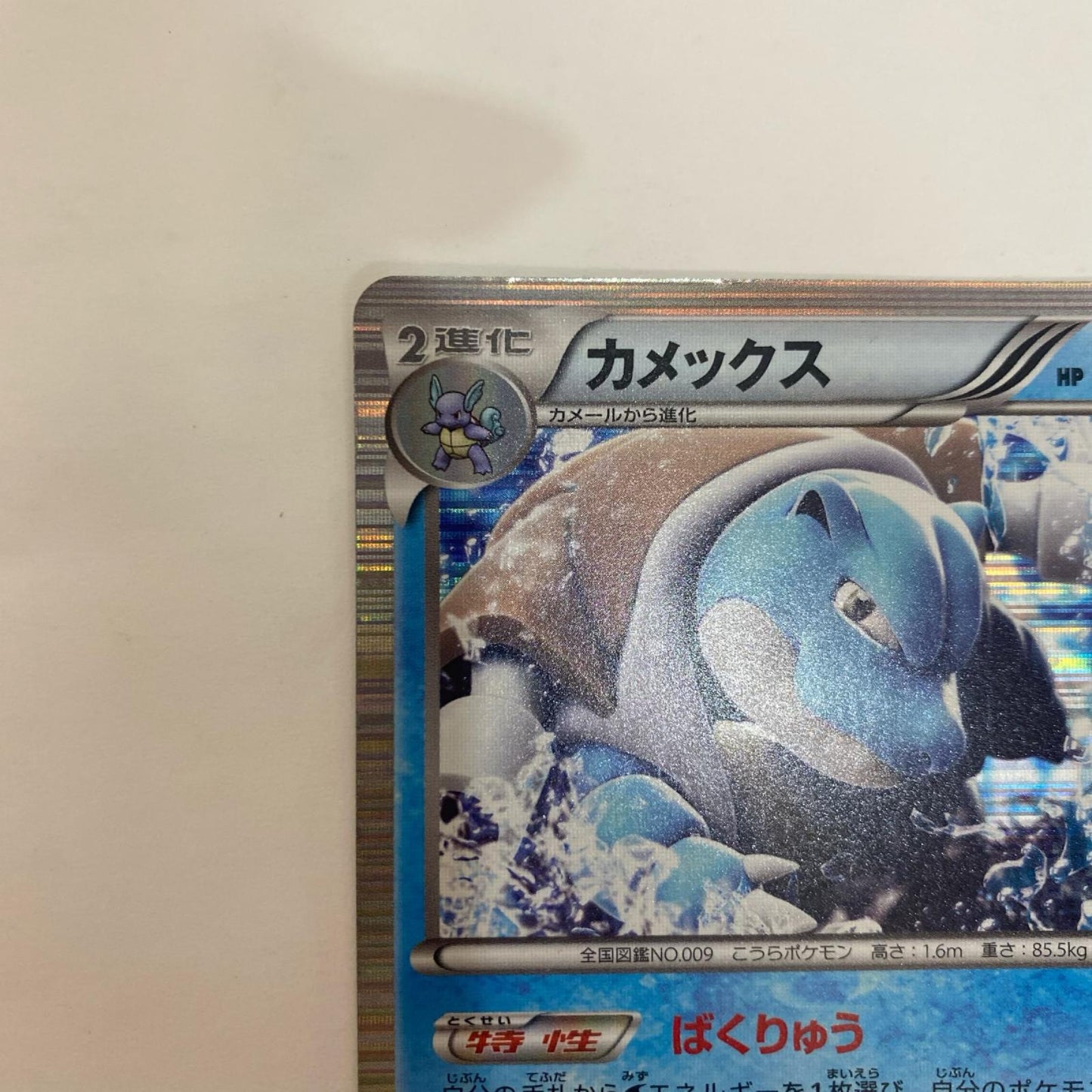 K+K-003 K+K-003 - カメックス キラカード - K+K-003 K+K 「最強爆流コンボデッキ60 カメックス＋キュレムEX」【飾磨店】