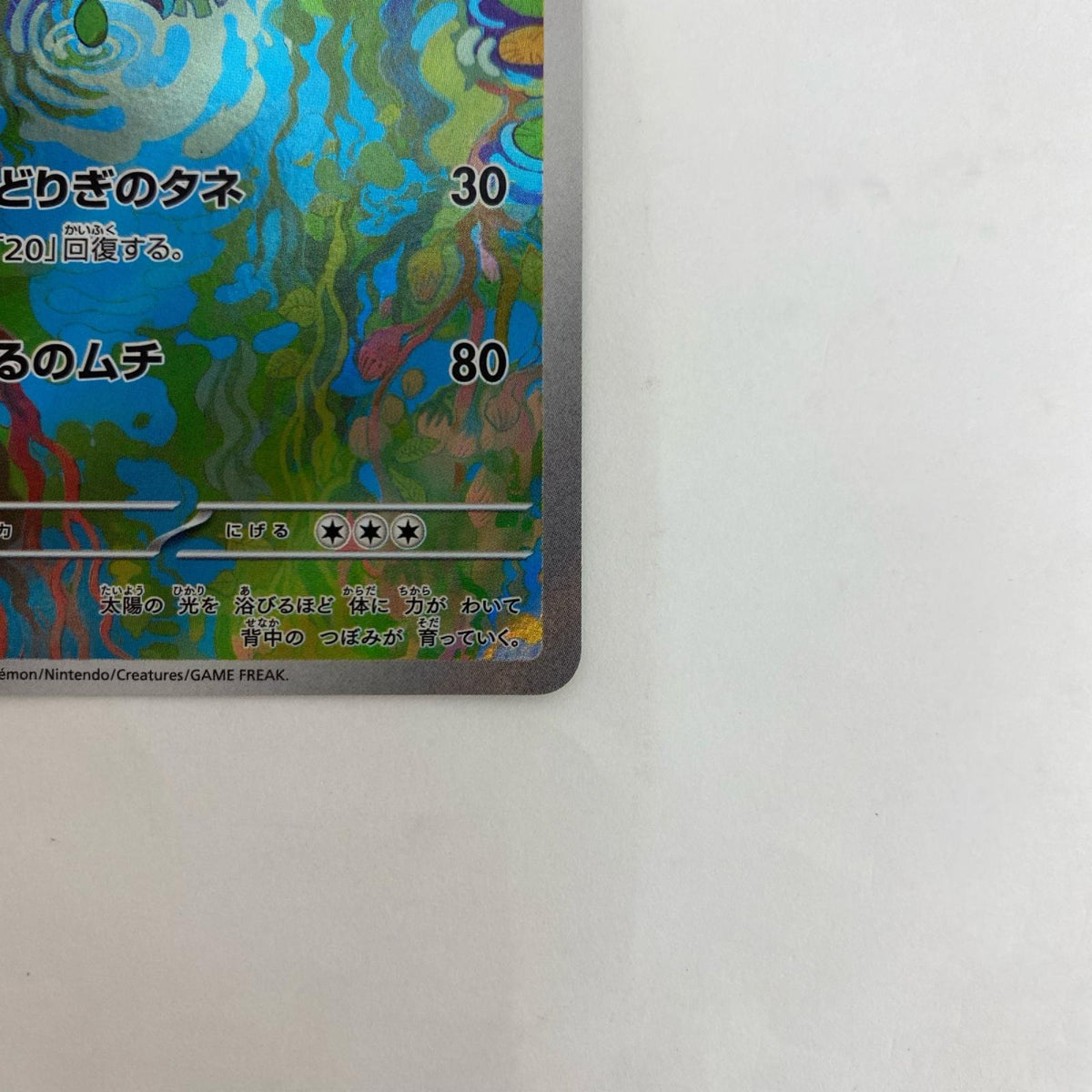 SV2a-167 SV2a-167 AR フシギソウ AR SV2a-167 SV2a 強化拡張パック「ポケモンカード151」【飾磨店】
