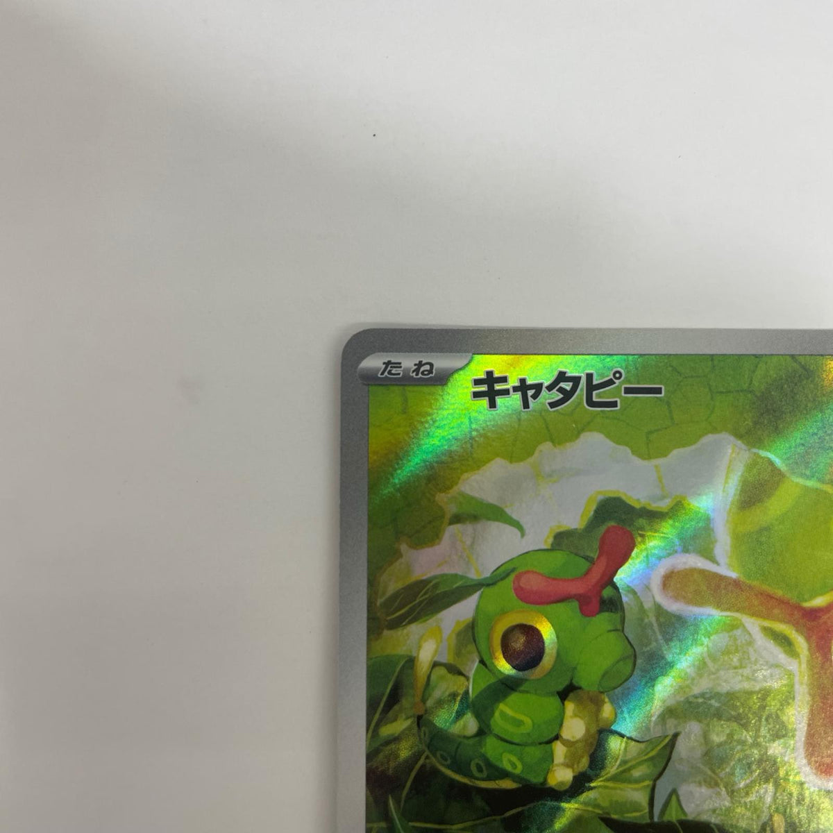 SV2a-172 キャタピー AR SV2a-172 SV2a 強化拡張パック「ポケモンカード151」【飾磨店】