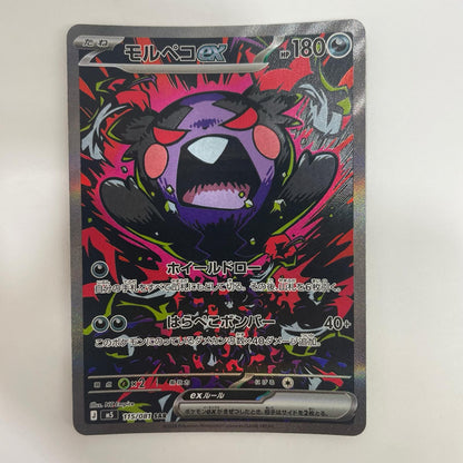 モルペコex SAR【飾磨店】