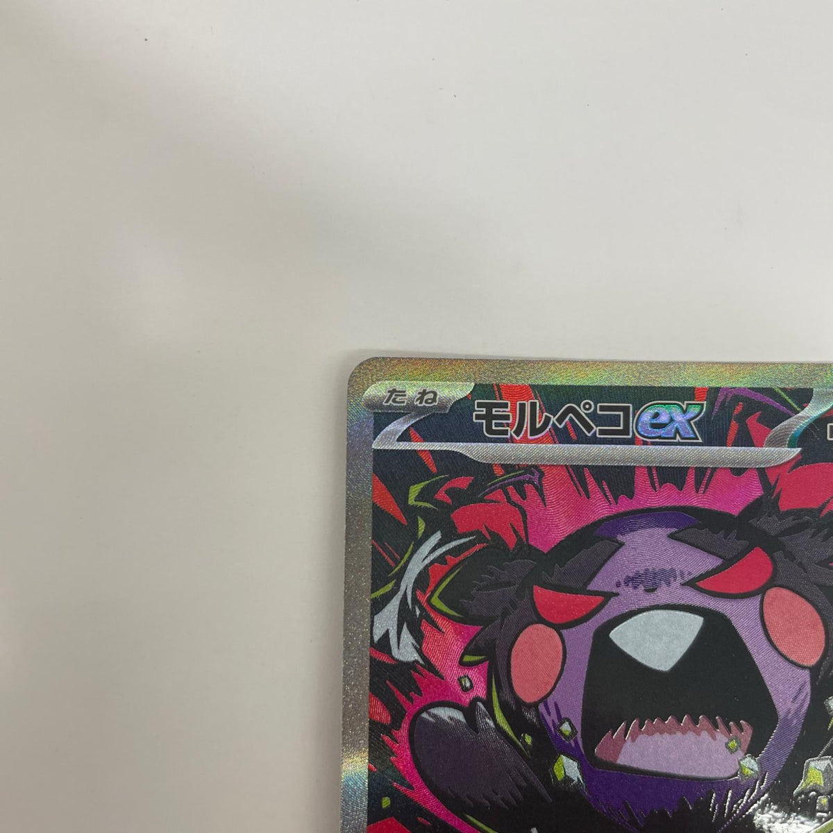 モルペコex SAR【飾磨店】