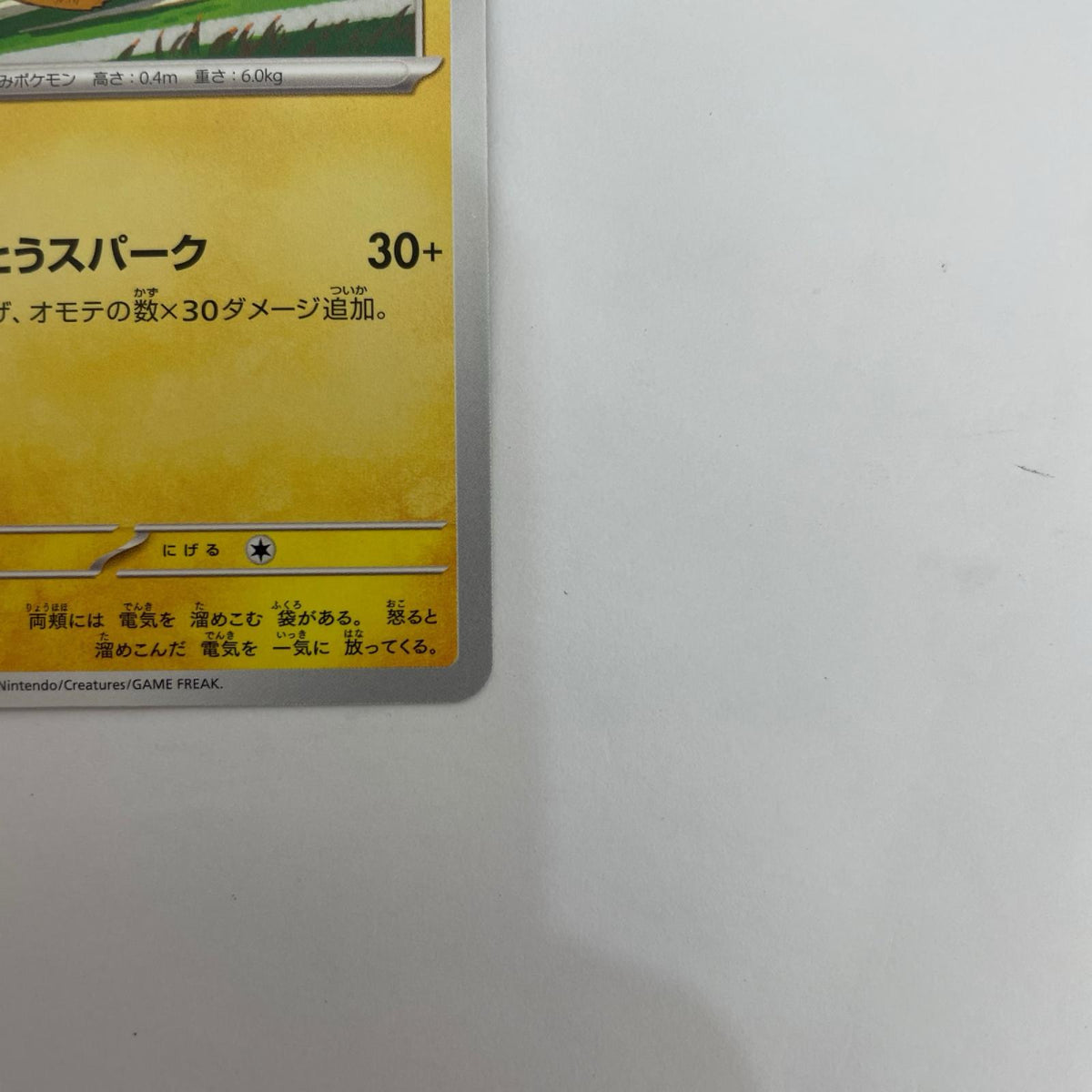 120/SV-P ピカチュウ - 120/SV-P PR 「ジムイベントに参加して、「ピカチュウ」をもらおう！」キャンペーン【飾磨店】