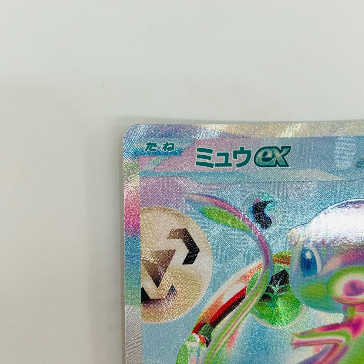 ミュウex FUR【飾磨店】