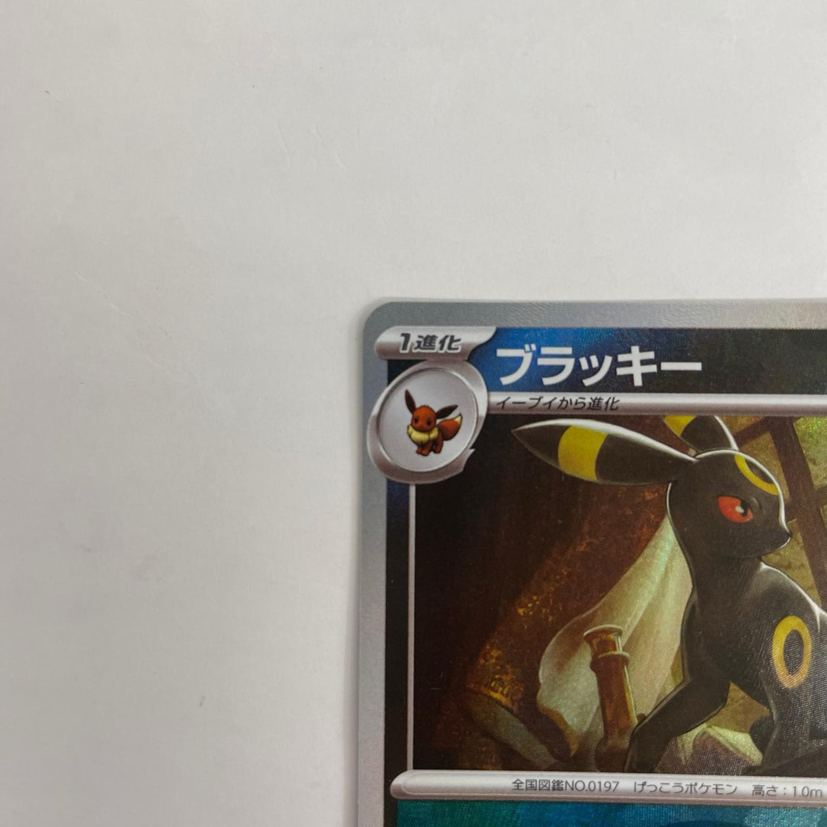 SV8a-092 ブラッキー ミラー(モンスターボール) - SV8a-092 SV8a ハイクラスパック「テラスタルフェスex」【飾磨店】