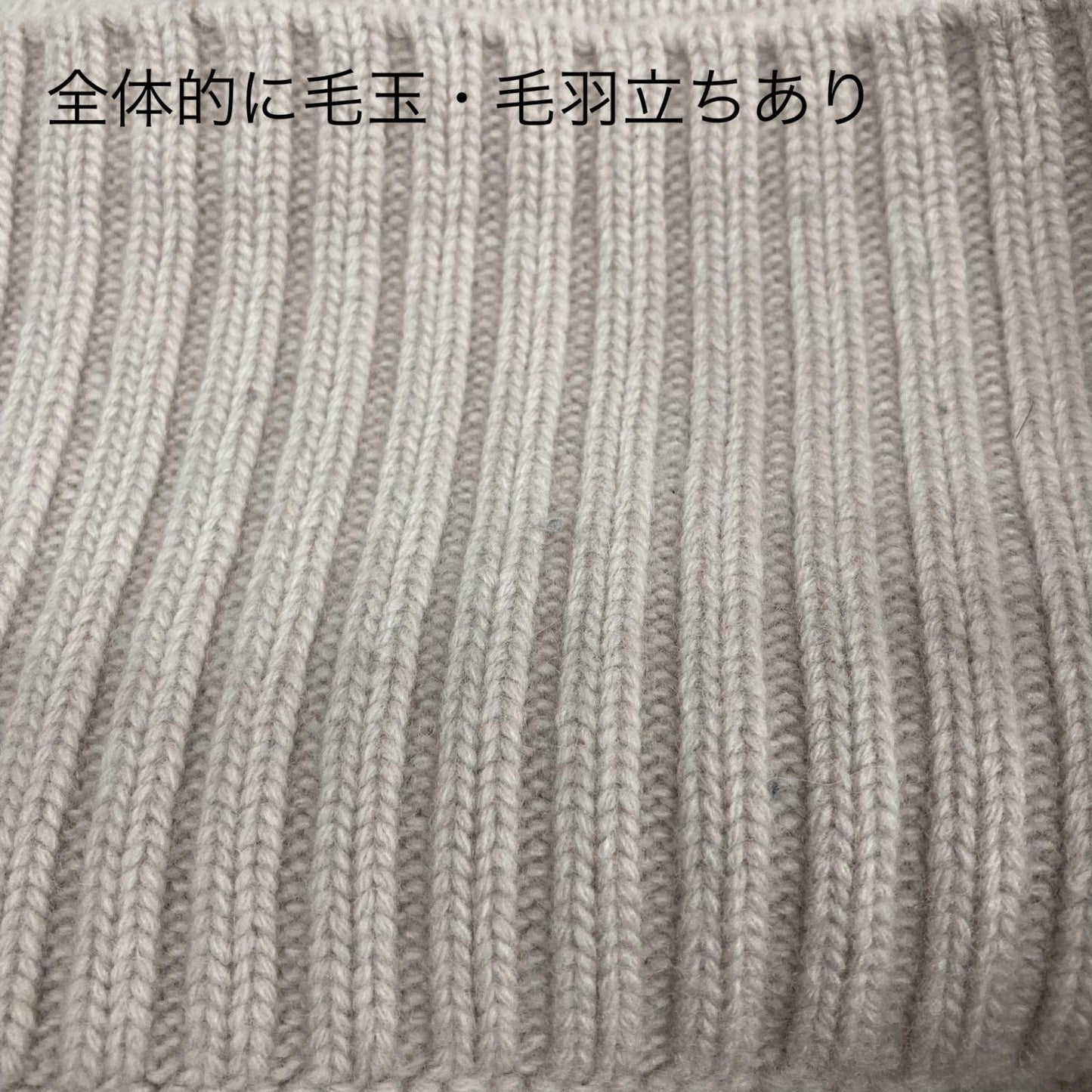 TODAYFUL | トゥデイフル Mediam　2Way Zip Knit ニット アイボリー【イオン広店】