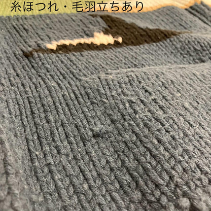 DESCENDANT | ディセンダント SUNKEN COWICHAN SWEATER セーター 232MADS-JKM01 ライトグリーン サイズ：4【イオン広店】