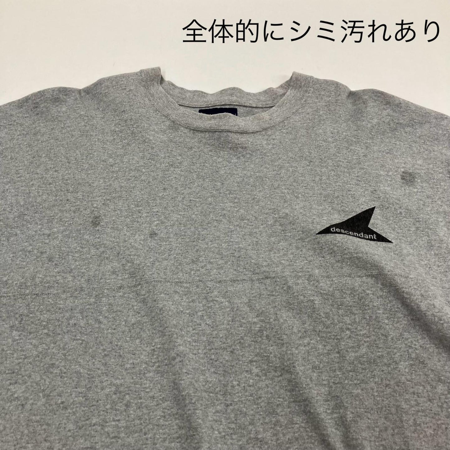 DESCENTE | デサント バックアーチロゴロンT 長袖Ｔシャツ グレー サイズ：2【イオン広店】