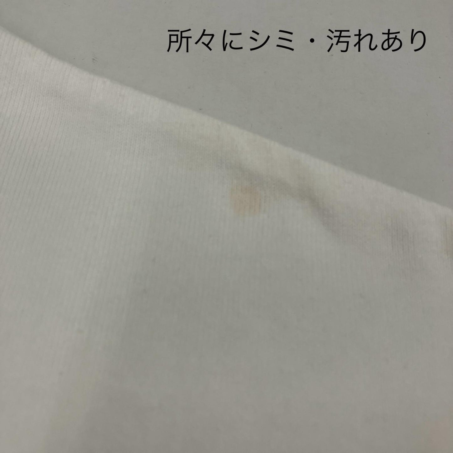 KEBOZ | ケボズ CALEEコラボ 半袖Ｔシャツ ホワイト【イオン広店】