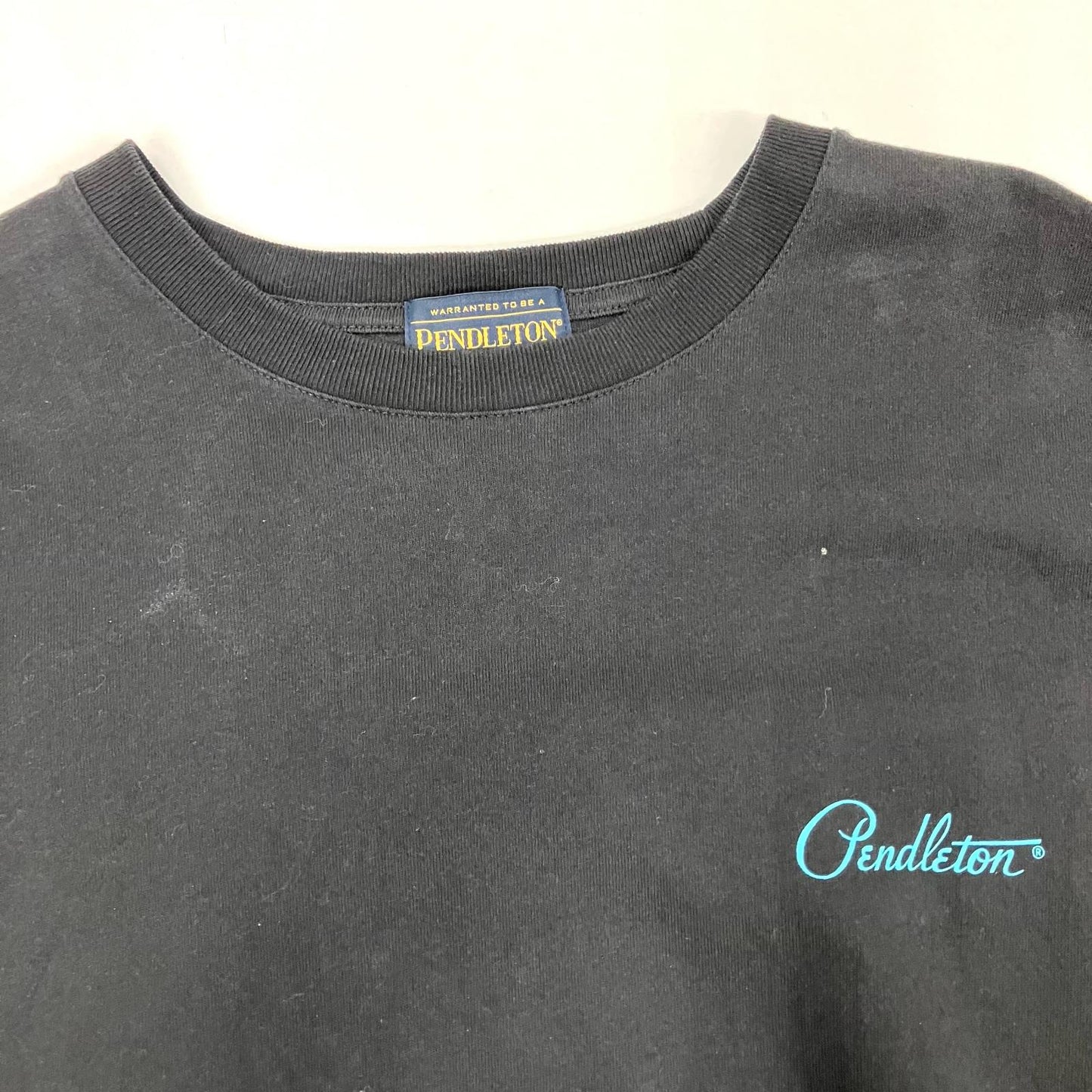 PENDLETON | ペンドルトン 半袖Ｔシャツ 2275-8201 ブラック サイズ：L【イオン広店】