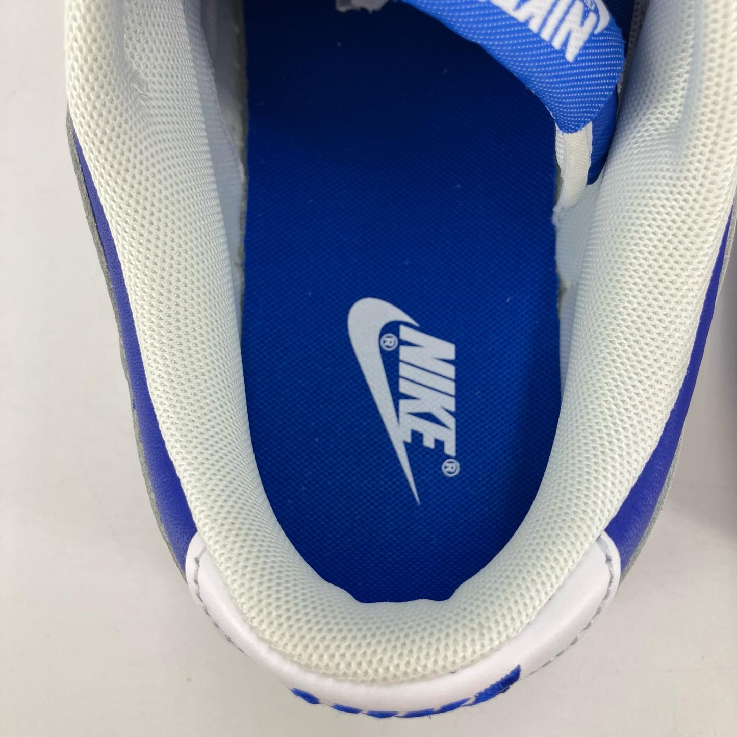 NIKE | ナイキ Dunk Low Retro Racer スニーカー DD1391-401 ブルー 28cm【イオン広店】