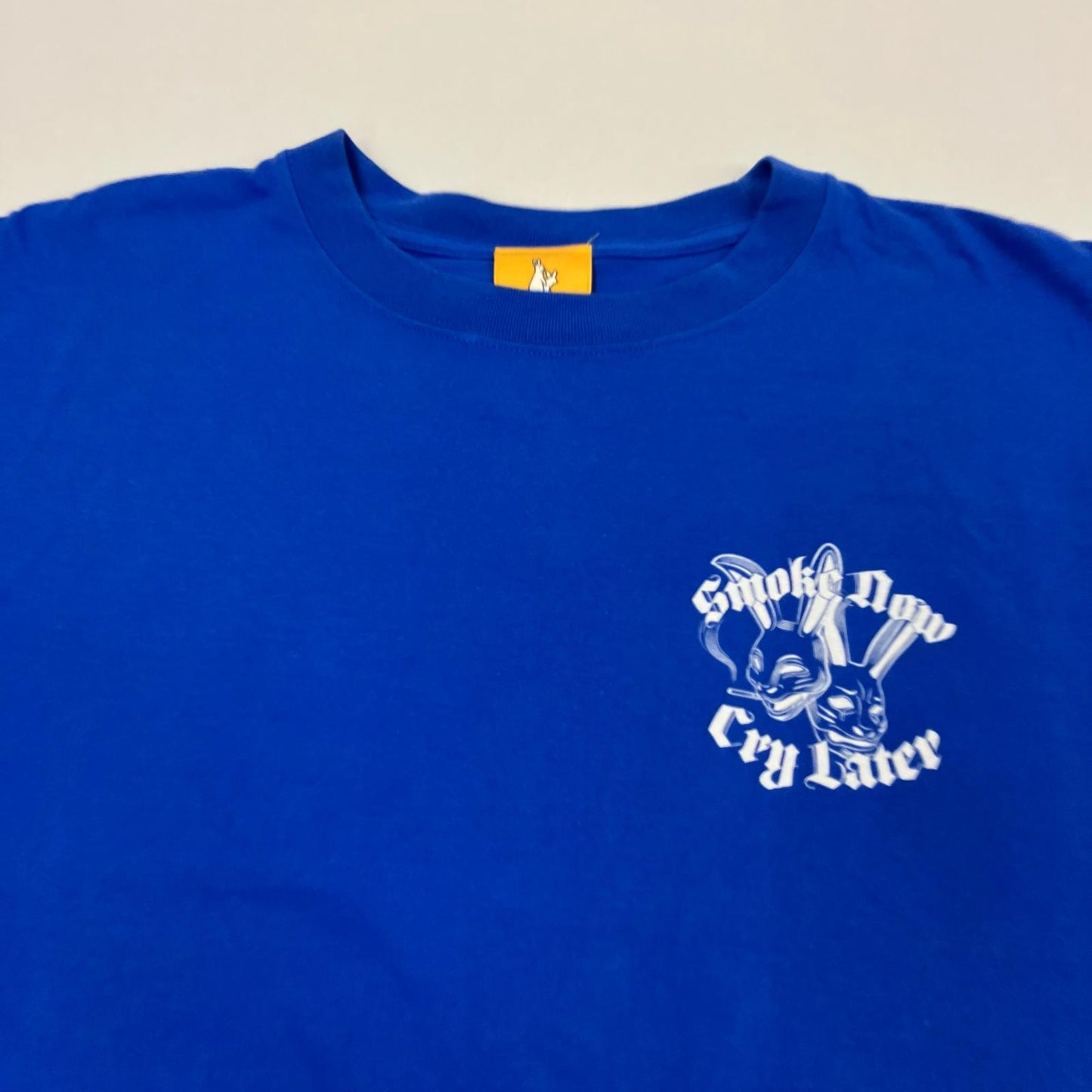 #FR2 | エフアールツー Smoke Now Cry Later 半袖Ｔシャツ ブルー サイズ：XL【イオン広店】