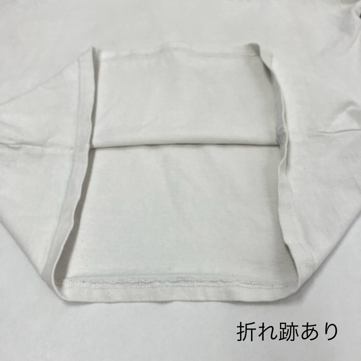 AVIREX | アヴィレックス ブルドッグ ロングスリーブTシャツ 長袖Ｔシャツ 783-2230014 ホワイト サイズ：M【イオン広店】
