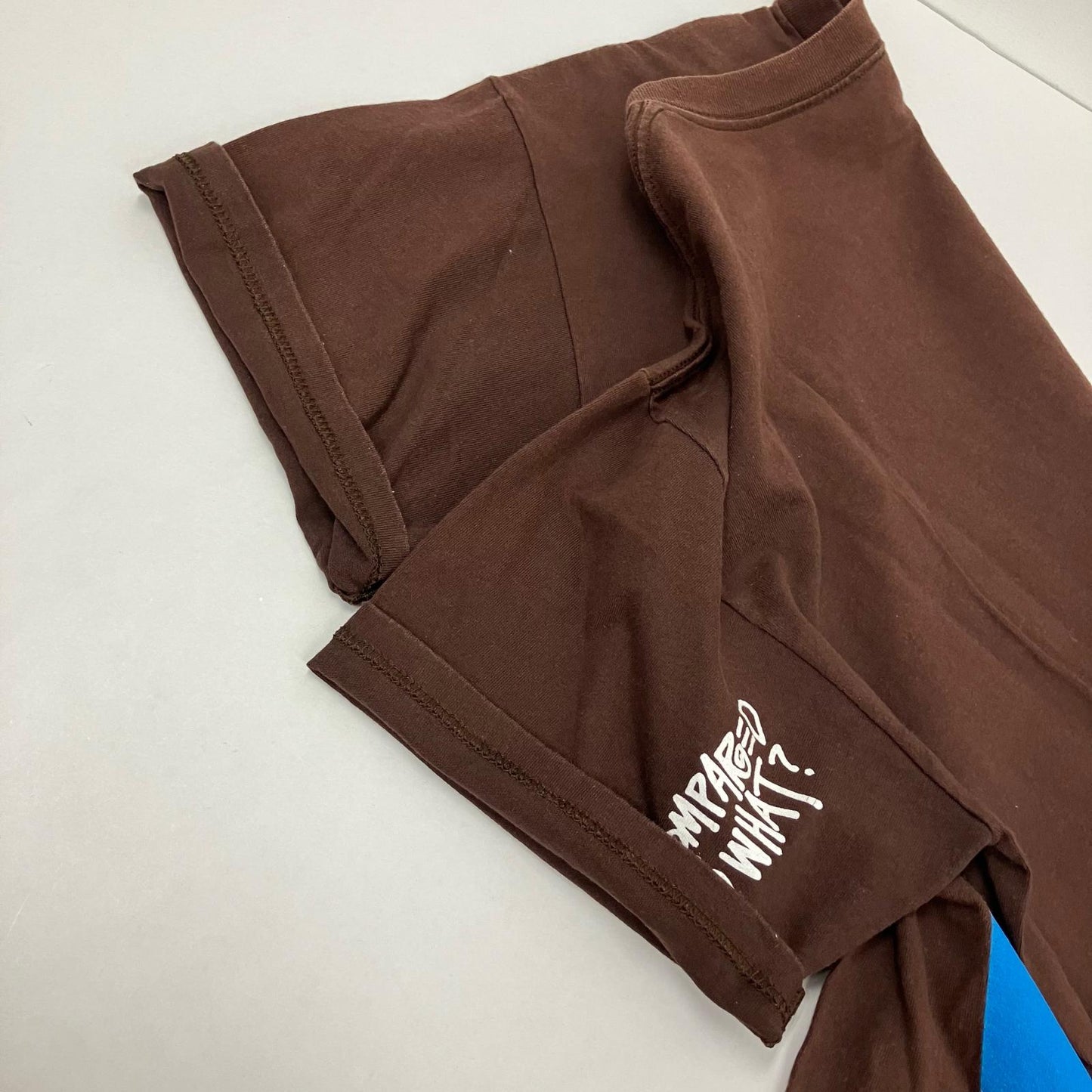 STUSSY | ステューシー COMPARED TO WHAT? 半袖Ｔシャツ ブラウン サイズ：L【イオン広店】