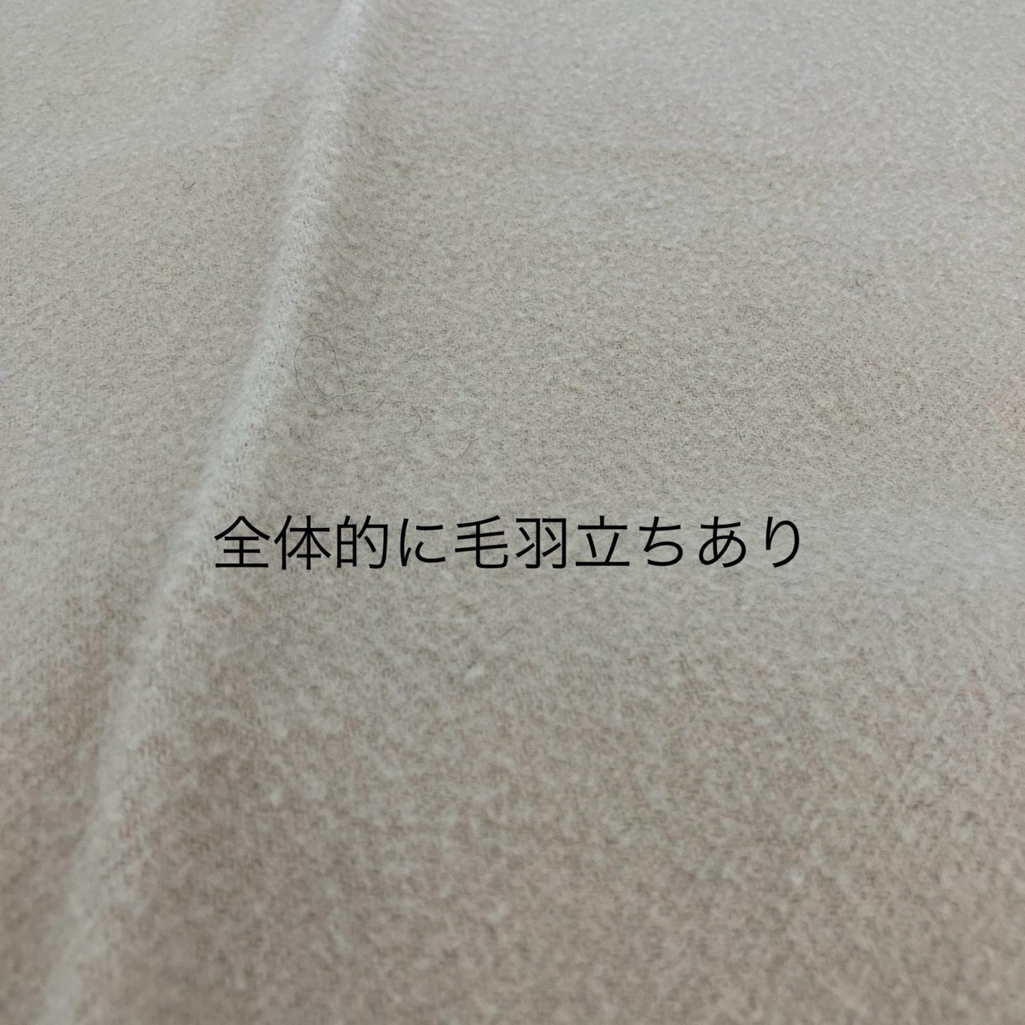 ACNE STUDIOS | アクネストゥディオズ マフラー ベージュ【イオン広店】