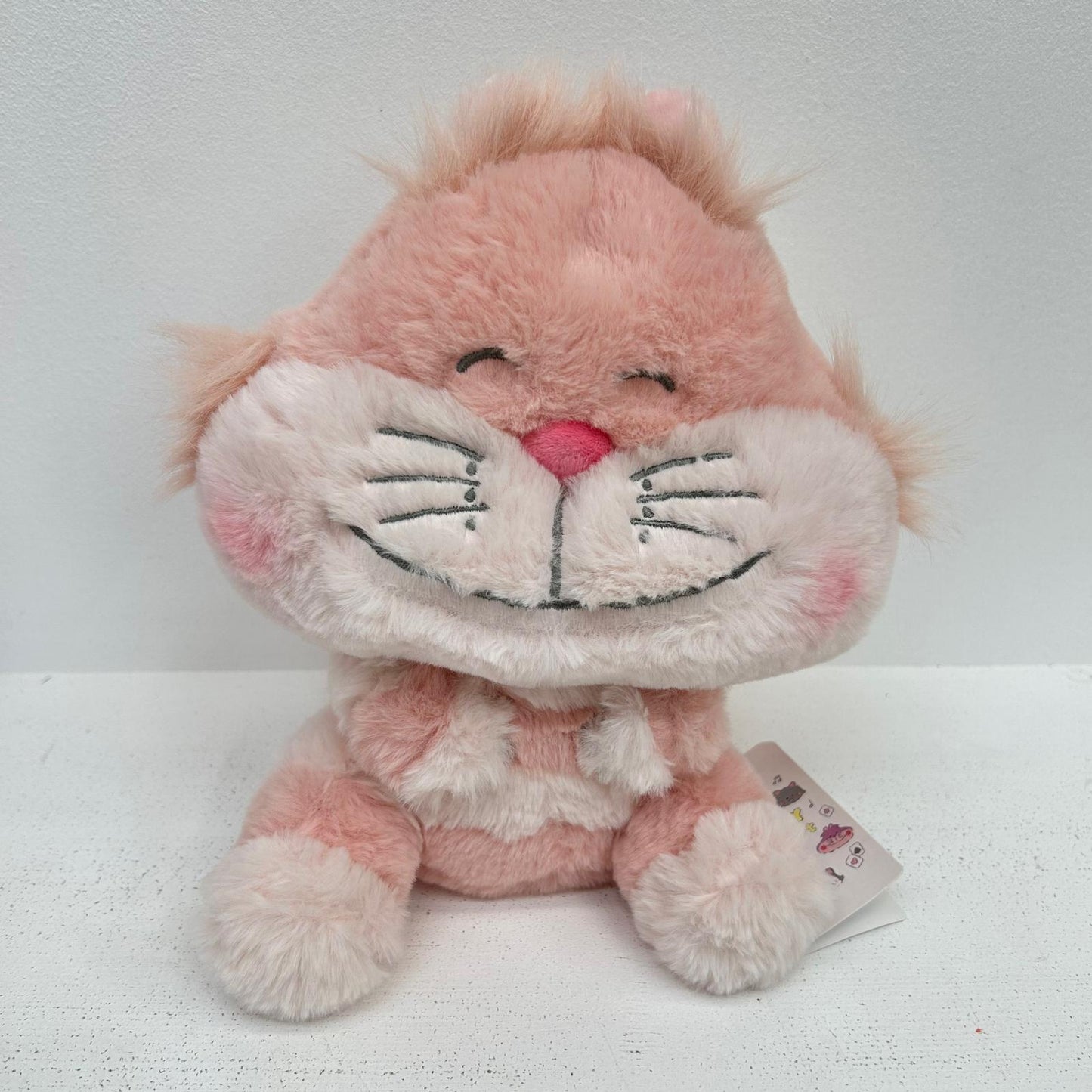 ぬいぐるみ チェシャ猫 ぬいぐるみ えちがわのりゆき CAT DAY 2023 ディズニー チェシャ猫【イオン広店】