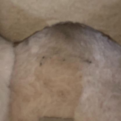 その他靴 【★加古川物流】中古 アグ UGG 3010 Kenton　ムートン　スリッポン　参考定価22000円°°【127】【127】【加古川物流】