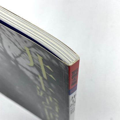井上靖の世界 別冊太陽 日本のこころ 147 生誕100年記念 平凡社 ムック：