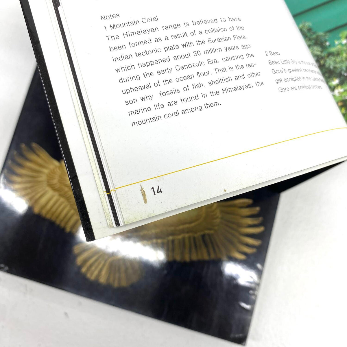 原宿ゴローズ大全 vol.1 & vol.2 2冊セット goro's 高橋吾郎 ムック本：