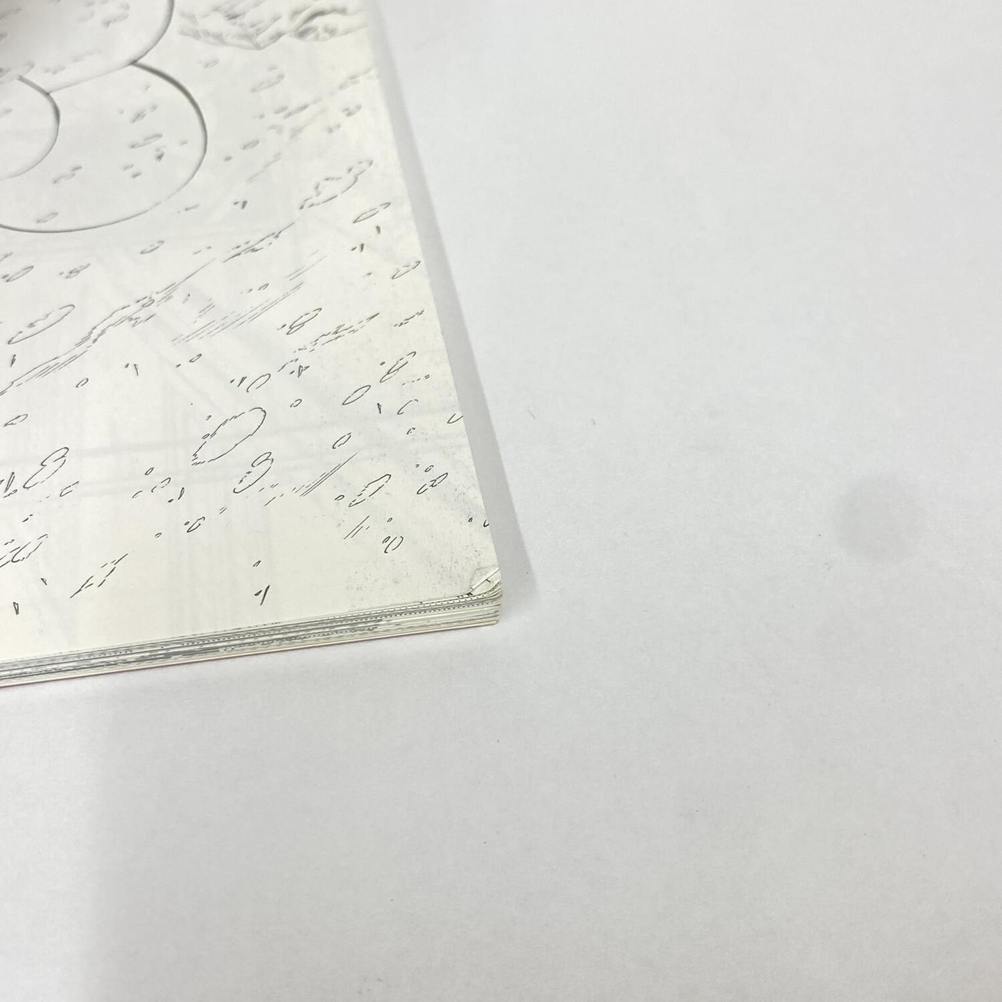 金色のガッシュ！！ 完全版 全巻購入特典 スペシャルブック：