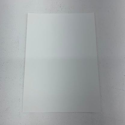 俺だけレベルアップな件 須藤智子描き下ろしビジュアルポートレート**
