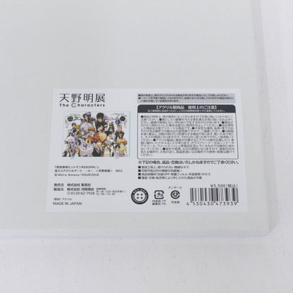 天野明展 家庭教師ヒットマンREBORN! 箔入りアクリルアートA