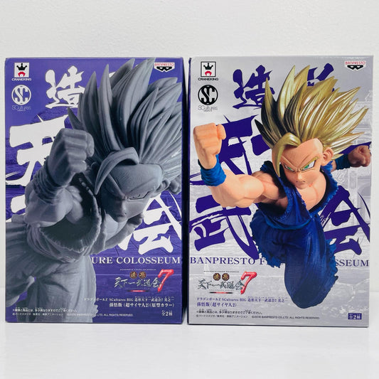 全2種セット「ドラゴンボールZ」SCulturesBIG造形天下一武道会7其之一【フィギュア】