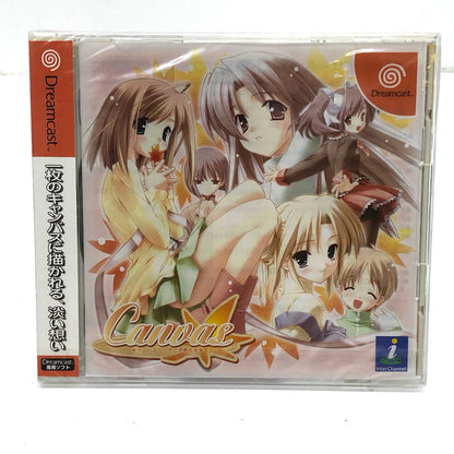 ゲームソフト Ｃａｎｖａｓ～セピア色のモチーフ～ ドリームキャスト 恋愛シミュレーション T-20108M