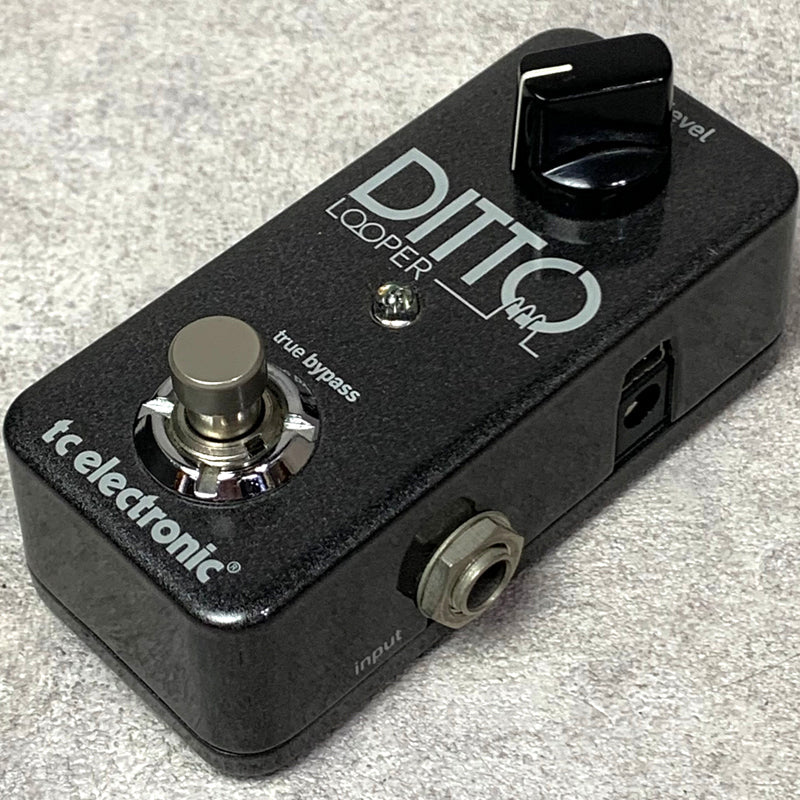 tc electronic | ティーシーエレクトロニック Ditto Looper 楽器 その他エフェクター 【送料無料】ループ上限5分、シンプルで扱いやすい定番ルーパー【加古川店】