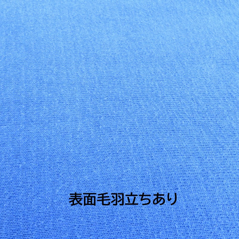 Hanes | ヘインズ BEEFY/リバースウィーブ スウェット ブルー サイズ：L【瀬戸大橋店】