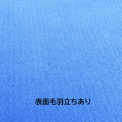 Hanes | ヘインズ BEEFY/リバースウィーブ スウェット ブルー サイズ：L【瀬戸大橋店】