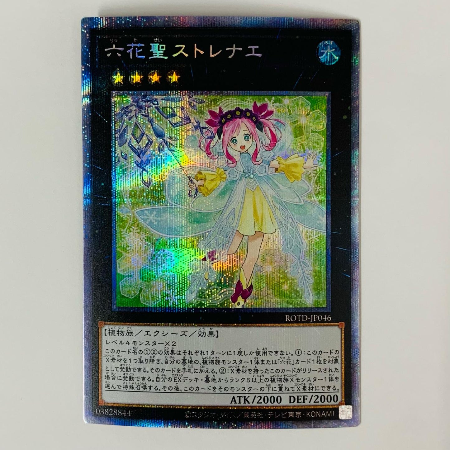 Rikka Queen Strenna PRI+SEC ROTD-JP046